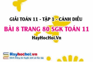 Giải bài 8 trang 80 Toán 11 tập 1 SGK Cánh Diều